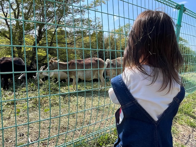 2歳娘 テンション爆上がり